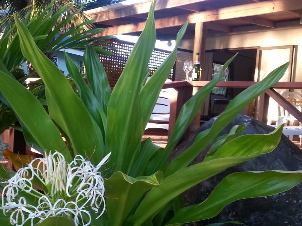 Hotel Sunset Palms Rarotonga Exterior foto